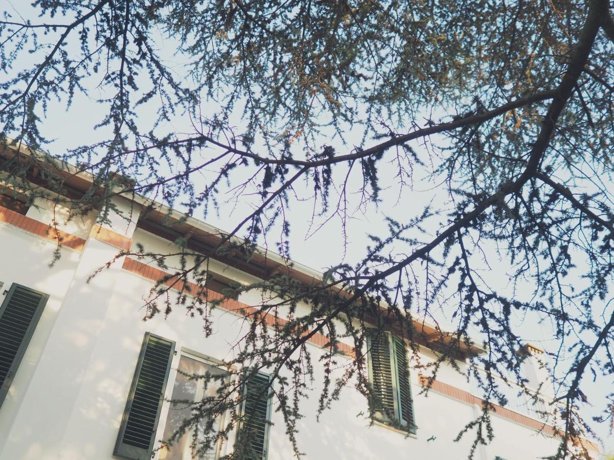 Villa Monti 库里德尔特伦托 外观 照片
